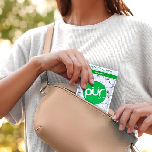 PUR Gum | Aspartame Free Chewing Gum | 100% Xylitol | Natural Spearmint Flavored Gum, 55 Pieces (Pack of 1)-UPStoxs