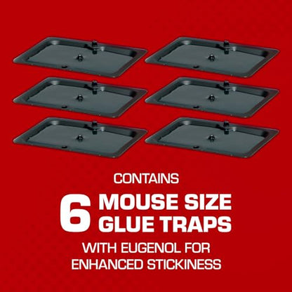 Tomcat Glue Traps Mouse Size with Eugenol for Enhanced Stickiness, Contains 6 Mouse Size Glue Traps - Captures Mice and Other Household Pests - Professional Strength, Pesticide-Free and Ready-to-Use-UPStoxs
