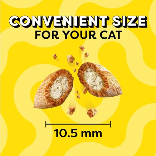 Temptations MixUps Backyard Cookout Flavor Crunchy and Soft Cat Treats, 16 oz. Tub-UPStoxs