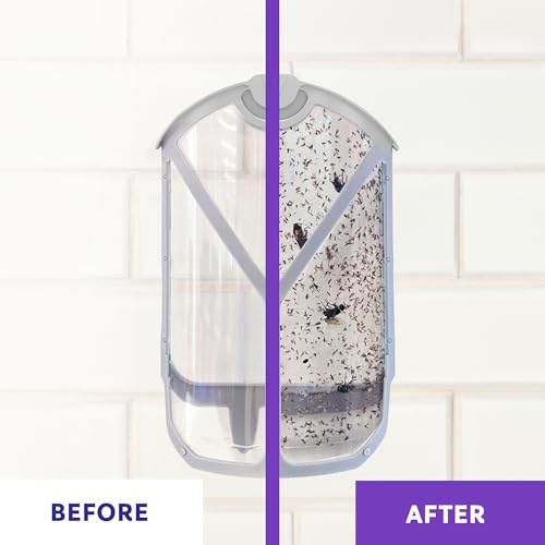 Zevo Flying Insect Trap for Indoors: Light Trap Captures Fruit Flies, Gnats and Houseflies, Starter Kit Value Pack + Refills (2 Plug-in Bases + 4 Cartridges)-UPStoxs