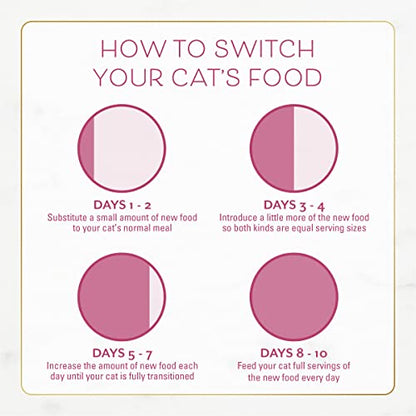 Purina Fancy Feast Dry Cat Food Filet Mignon Flavor with Seafood and Shrimp - 7 lb. Bag-UPStoxs