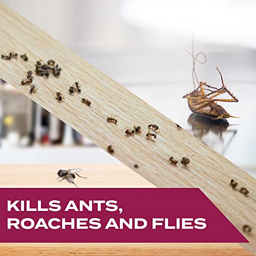 Stem Kills Ants, Roaches And Flies: Plant-Based Active Ingredient Bug Spray, Botanical Insecticide For Indoor And Outdoor Use; 12 fl oz (Pack Of 1)-UPStoxs