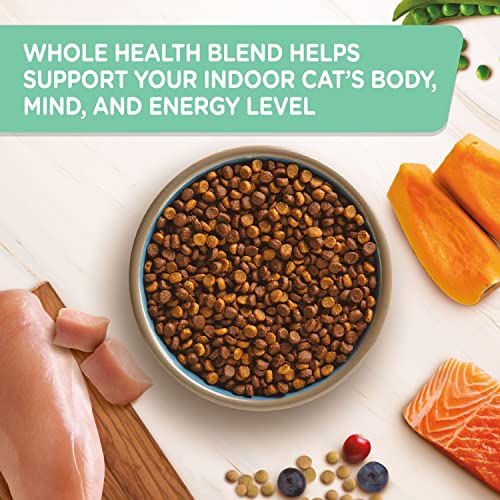 Rachael Ray Nutrish Indoor Complete Premium Natural Dry Cat Food with Added Vitamins, Minerals & Other Nutrients, Chicken with Lentils & Salmon Recipe, 14 Pounds (Packaging May Vary)-UPStoxs