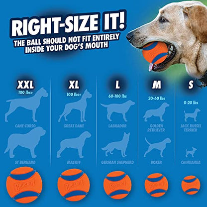Chuckit Ultra Ball Dog Toy, Medium (2.5" Diameter), Pack of 8 with Chuckit Cleaning Bucket-UPStoxs