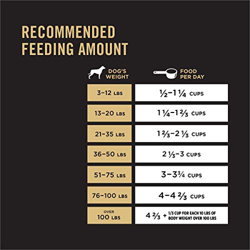 Purina Pro Plan High Protein Dog Food With Probiotics for Dogs, Shredded Blend Chicken & Rice Formula - 6 lb. Bag-UPStoxs