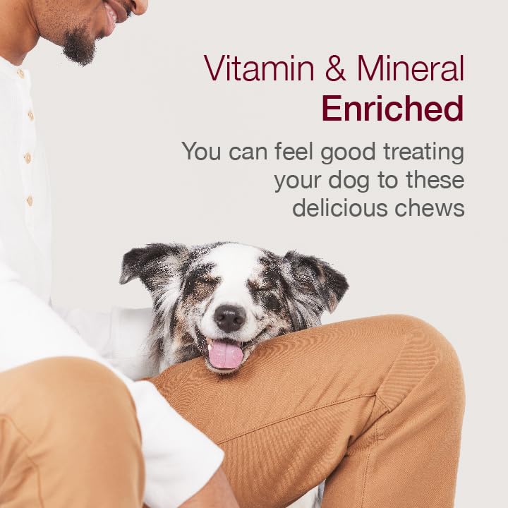 SmartBones Smart Twist Sticks, Rawhide Free Dog Chew Sticks, Made With Real Chicken, 50 Sticks (Pack of 1)-UPStoxs