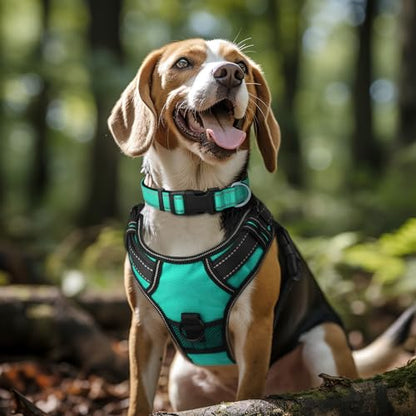 Joytale Reflective Dog Collar,Soft Neoprene Padded Breathable Nylon Pet Collar Adjustable for Medium Dogs,Teal,M-UPStoxs