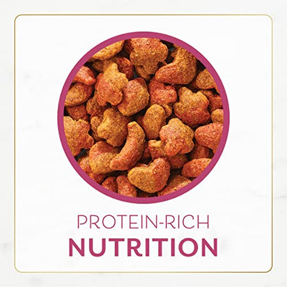 Purina Fancy Feast Dry Cat Food Filet Mignon Flavor with Seafood and Shrimp - 3 lb. Bag-UPStoxs