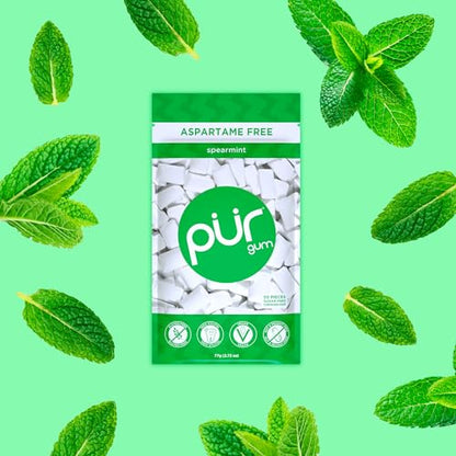 PUR Gum | Aspartame Free Chewing Gum | 100% Xylitol | Natural Spearmint Flavored Gum, 55 Pieces (Pack of 1)-UPStoxs