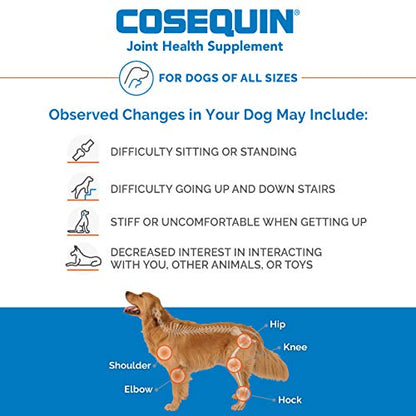 Nutramax Laboratories Cosequin Maximum Strength Joint Health Supplement for Dogs - With Glucosamine, Chondroitin, and MSM, 250 Chewable Tablets-UPStoxs