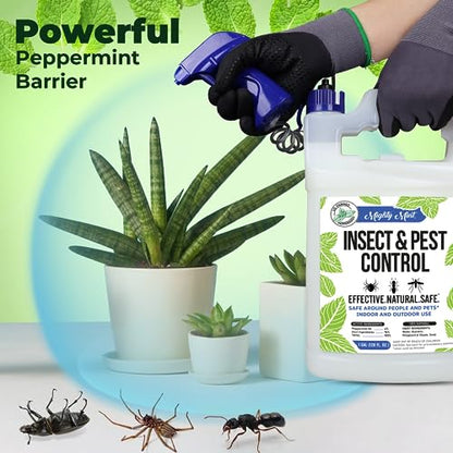 Mighty Mint Gallon (128 oz) Insect and Pest Control Peppermint Oil - Natural Spray for Spiders, Ants, and More-UPStoxs