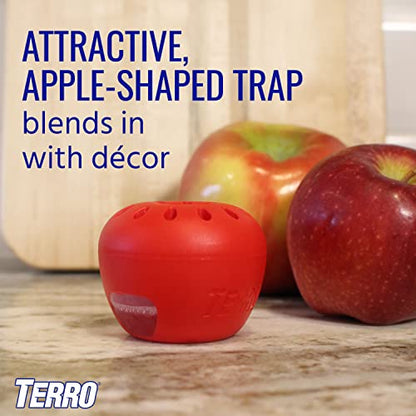 Terro Fruit Fly Trap 4 Traps + 180 Days Lure Supply-UPStoxs