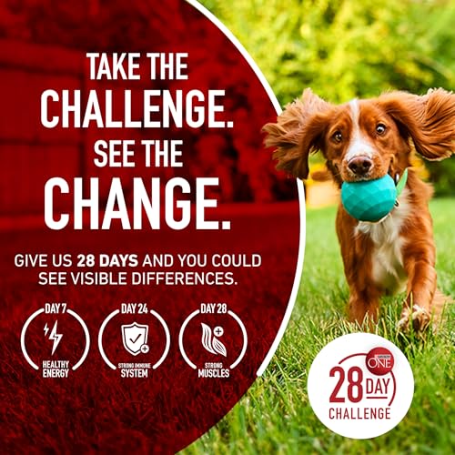 Purina ONE True Instinct With A Blend Of Real Turkey and Venison Dry Dog Food - 36 lb. Bag-UPStoxs