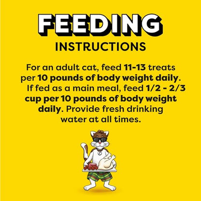 Temptations MixUps Backyard Cookout Flavor Crunchy and Soft Cat Treats, 30 oz. Tub-UPStoxs