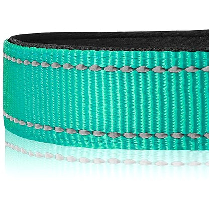 Joytale Reflective Dog Collar,Soft Neoprene Padded Breathable Nylon Pet Collar Adjustable for Medium Dogs,Teal,M-UPStoxs