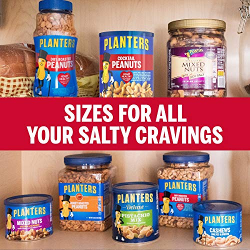 PLANTERS Salted Cocktail Peanuts, Party Snacks, Plant Based Protein 16oz (1 Canister)-UPStoxs