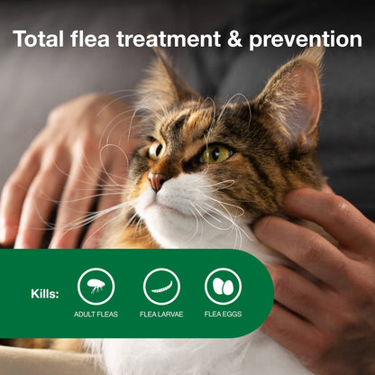 Advantage II Large Cat Vet-Recommended Flea Treatment & Prevention | Cats Over 9 lbs. | 6-Month Supply-UPStoxs