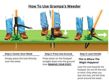 Grampa's Weeder - The Original Stand Up Weed Puller Tool with Long Handle - Made with Real Bamboo & 4-Claw Steel Head Design - Easily Remove Weeds Without Bending, Pulling, or Kneeling.-UPStoxs