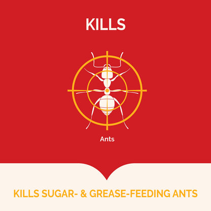 Hot Shot Ant Bait, Kills the Queen and Colony, Works for 6 months, Pack of 1, 8 Count-UPStoxs