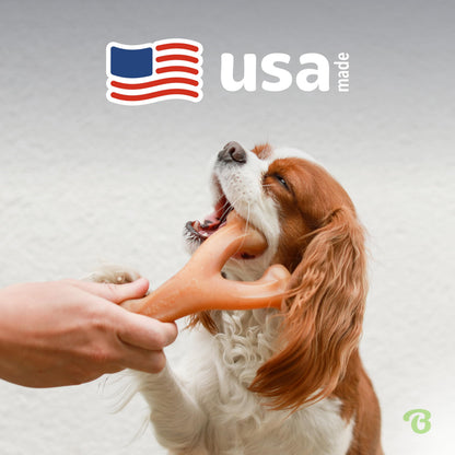 Benebone Wishbone Durable Dog Chew Toy for Aggressive Chewers, Made in USA, Small, Real Bacon Flavor-UPStoxs
