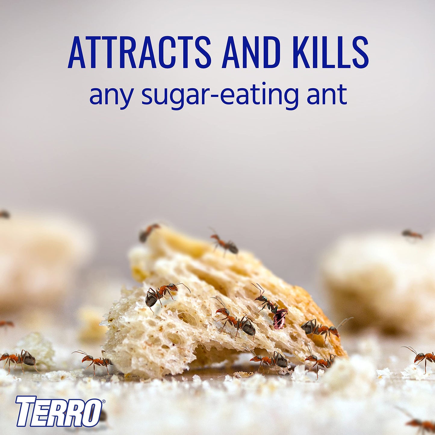 TERRO Liquid Ant Killer ll T200, 2 oz-UPStoxs