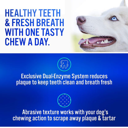 Virbac C.E.T. Enzymatic Oral Hygiene Chews for Dogs Beef 8.4 Ounces-UPStoxs