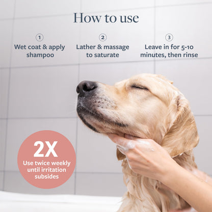 Veterinary Formula Clinical Care Hot Spot & Itch Relief Medicated Shampoo for Dogs and Cats 16oz – Helps alleviate sensitive skin, scratching, and licking of coat-UPStoxs