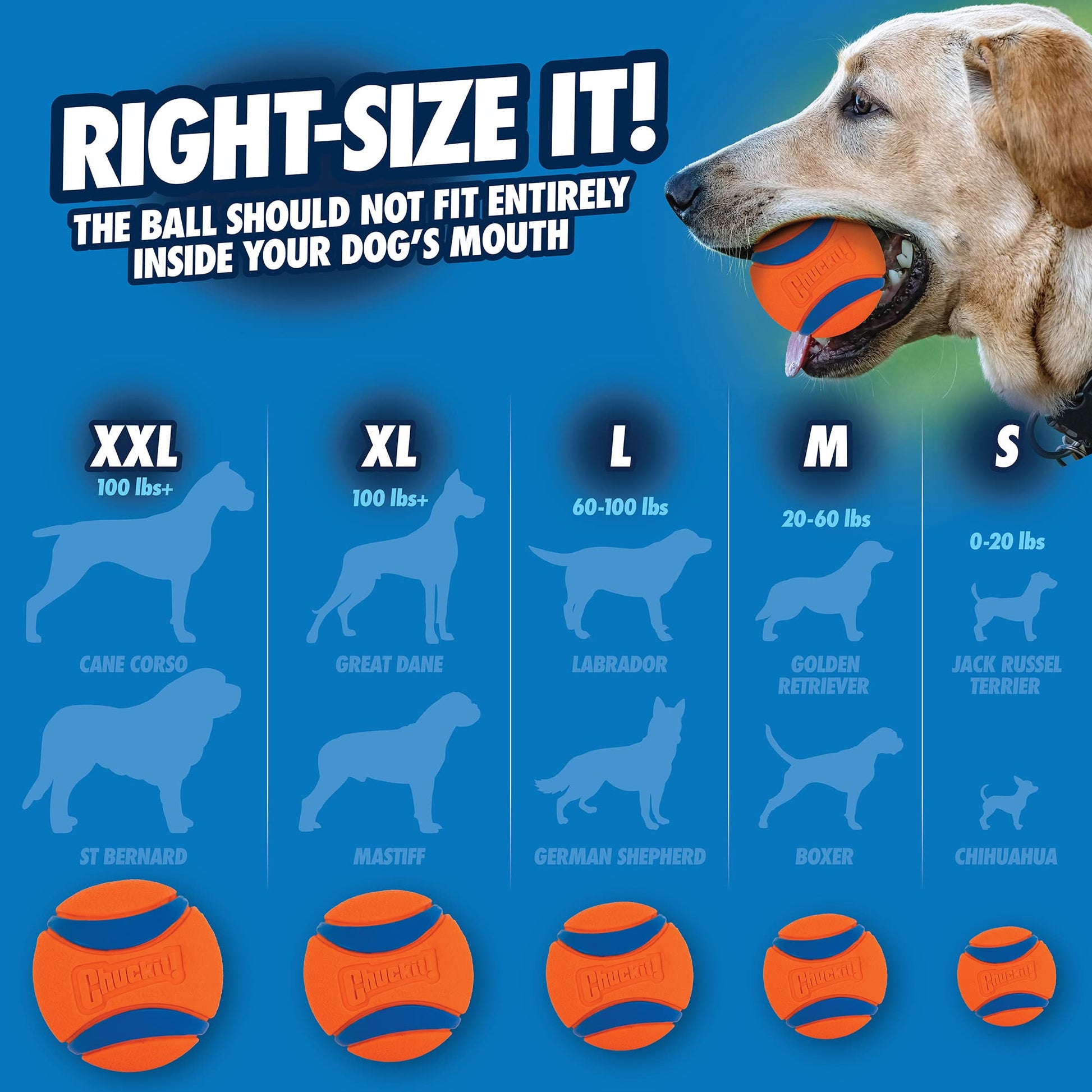 Chuckit Ultra Ball Dog Toy, Small (2 Inch Diameter), Pack of 2, for Breeds 0-20 lbs-UPStoxs