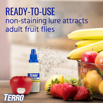TERRO T2503-3 Ready-to-Use Indoor Fruit Fly Trap with Built in Window - 6 Traps + 270 day Lure Supply-UPStoxs