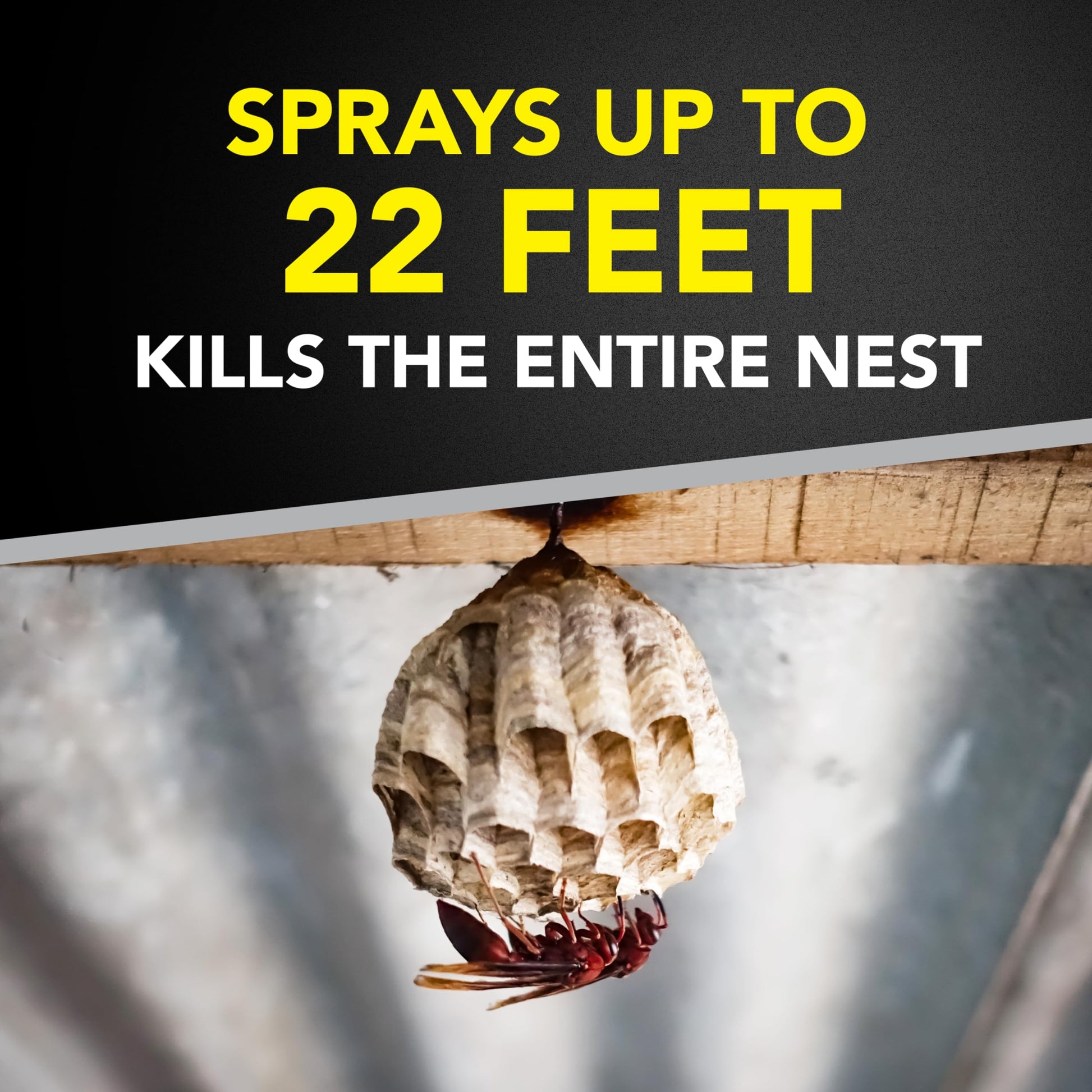 Raid Wasp & Hornet Killer Spray, Bug Killer Kills the Entire Nest, 14 Oz, 2 Count-UPStoxs