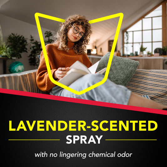 Raid Ant & Roach Killer Spray For Listed Bugs, Keeps Killing for Weeks, Lavender Scent, 17.5 oz-UPStoxs