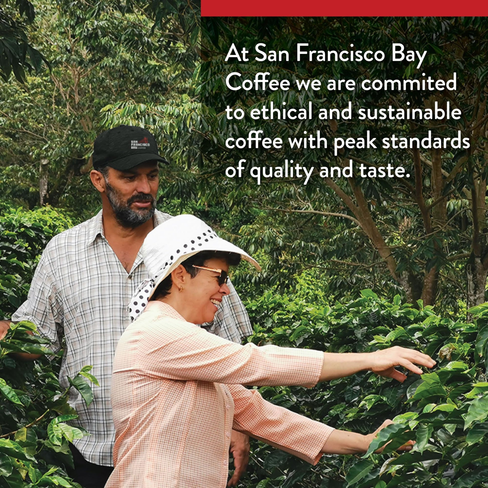 San Francisco Bay Whole Bean Coffee - DECAF Gourmet Blend (2lb Bag), Medium Roast, Swiss Water Processed-UPStoxs